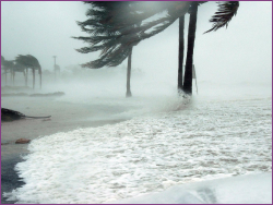 Natural Disaster Preparation image Natural Disaster Preparation image