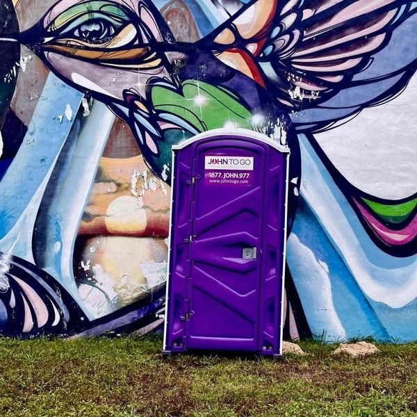 bathroom rental unit in front of artistic backdrop