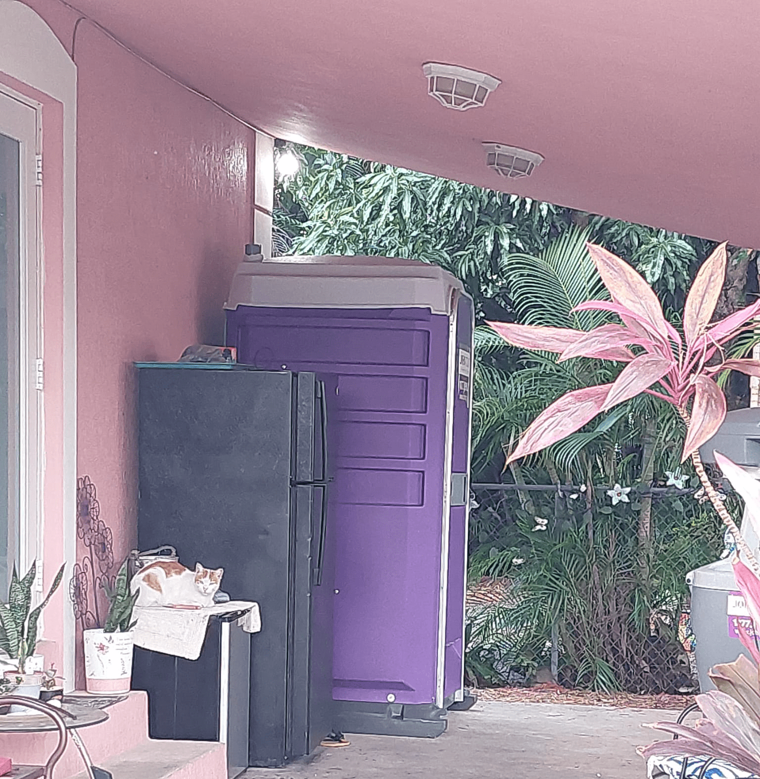 portable bathroom near Boca Raton