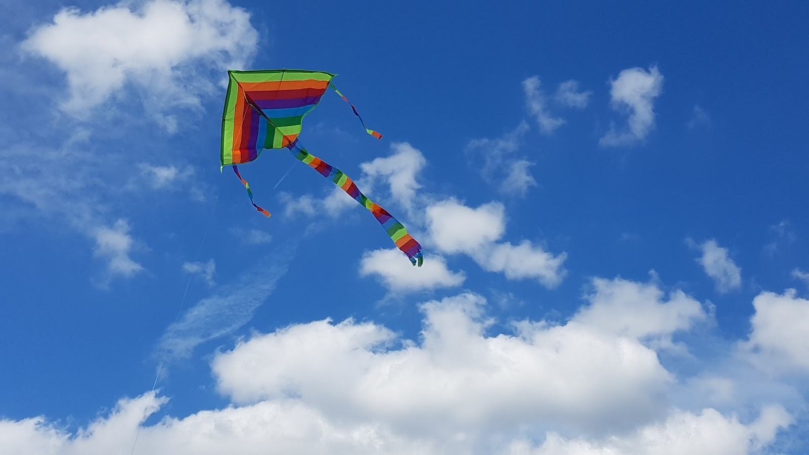 kite flying in sky