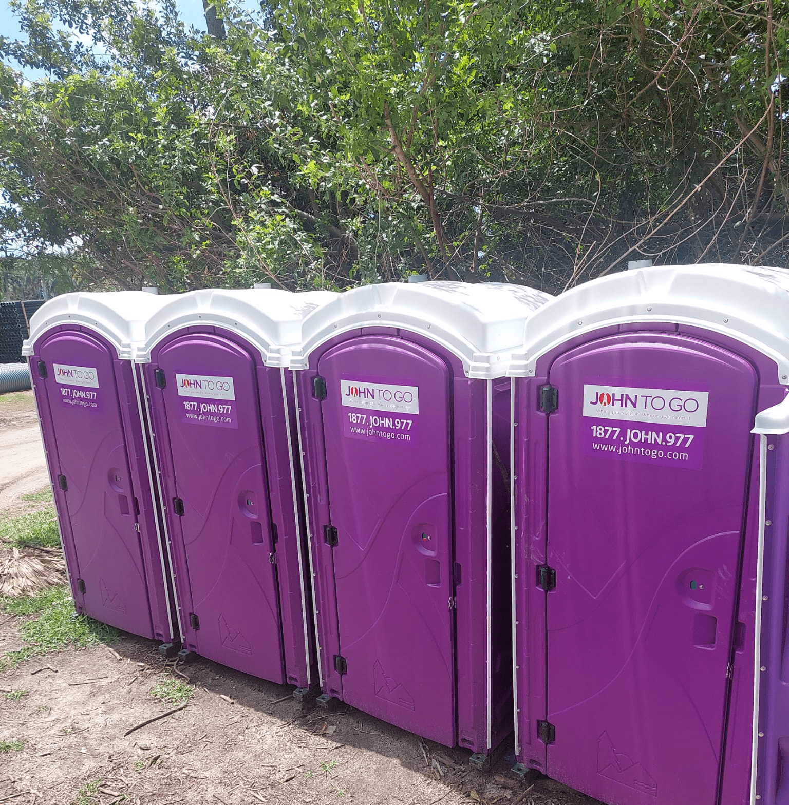 row of purple porta potty units