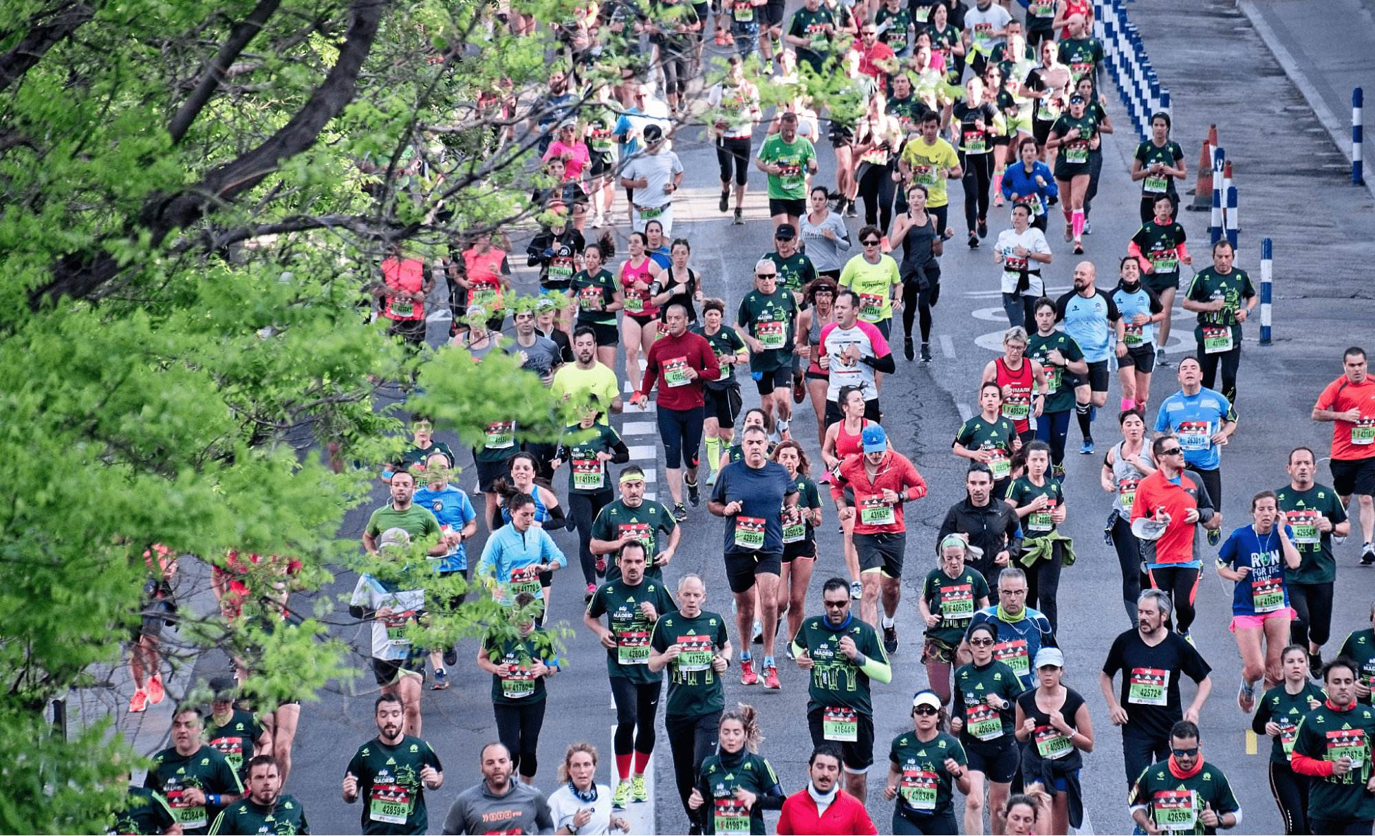 participants in sports fundraiser