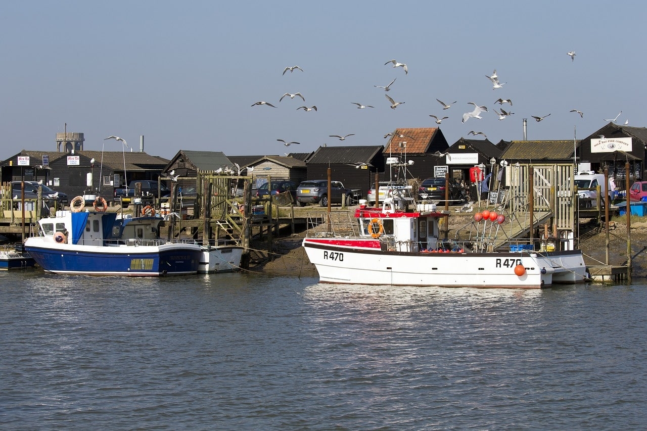 Suffolk County NY tourist attractions requiring porta potty rental Suffolk