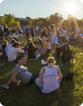 Concerts-Festivals.webp